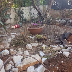 חצר עם עצים גזומים, אבנים ועציץ עם פרחים