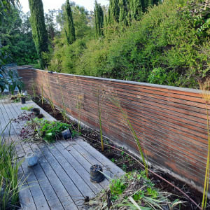 עציצים וצמחים על דק עץ בגינה