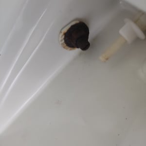 בורג חלוד ליד צינור פלסטיק לבן