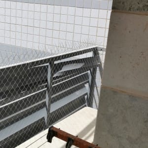 רשת למניעת כניסת יונים על מרפסת