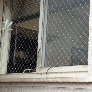 רשת מתכת על חלון למניעת כניסת יונים