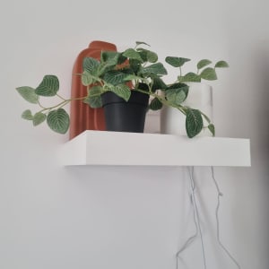 מדף לבן עם עציץ ירוק וחוטים חשמליים