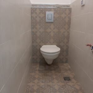 אסלה תלויה עם לחצן הדחה על קיר מעוצב