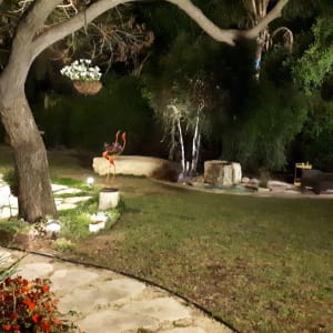 גינה עם עצים, פרחים ושולחן גינה