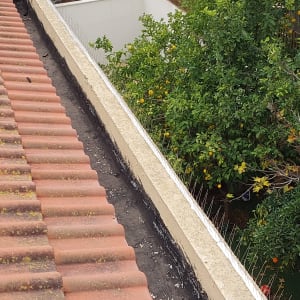 דוקרנים על גג למניעת יונים