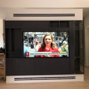 טלוויזיה בתוך ארון עץ בסלון מודרני