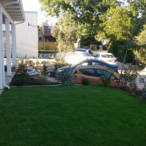 דשא ירוק עם צמחים מסביב וערוגות גינה