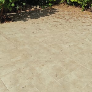 רצפה מרוצפת עם עלים יבשים ולכלוך קל