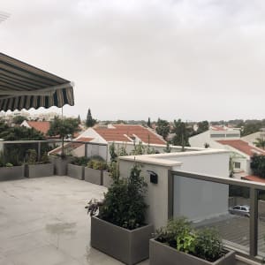 עציצים עם צמחים על מרפסת מרוצפת