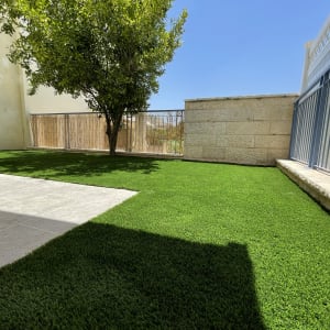 דשא ירוק ועץ בגינה מגודרת