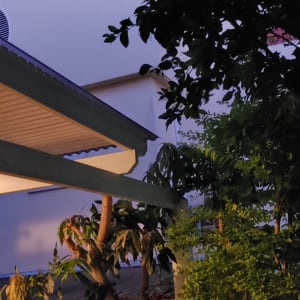 גג עץ עם תאורה ועצים מסביב