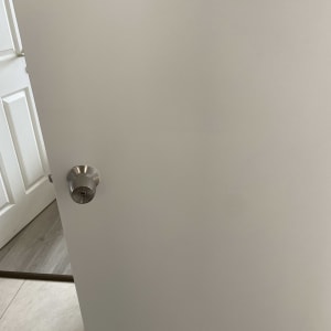 דלת לבנה עם ידית מתכת כסופה