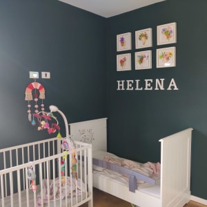 שישה ציורים ממוסגרים של פרחים על הקיר