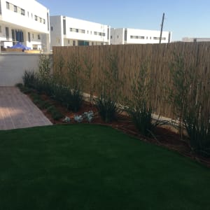 גדר במבוק, דשא סינתטי, צמחים לאורך השביל