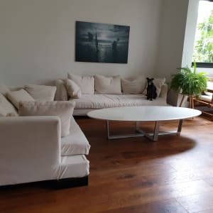 ספות מרופדות עם כריות לבנות בחדר מגורים