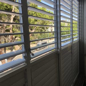 תריסי אלומיניום פתוחים עם נוף חיצוני של עצים