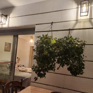 תמונה של ציור כלב תלוי על קיר בחדר שינה