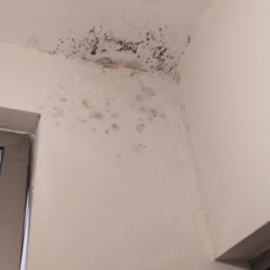 כתמי עובש על קיר לבן בתקרה