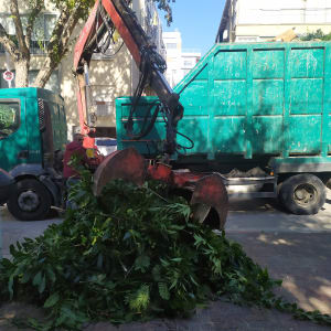 מנוף אוסף ענפים גזומים לרכב משא ירוק