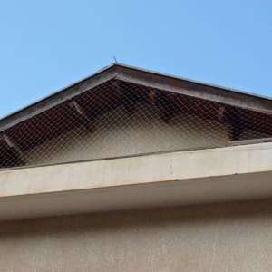 רשת מתכת מותקנת על גג למניעת כניסת יונים