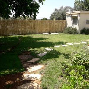 שביל אבנים בגינה עם דשא וצמחים ירוקים