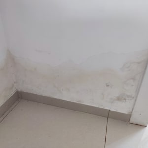 קיר עם סימני רטיבות ונזקי מים בפינה