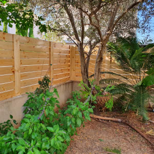 גדר עץ בגינה עם צמחים ועצים ירוקים