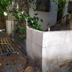 ענפים גזומים על הקרקע ליד עץ וגדר