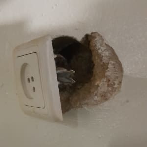 שקע חשמלי רופף בקיר עם חוטים חשופים