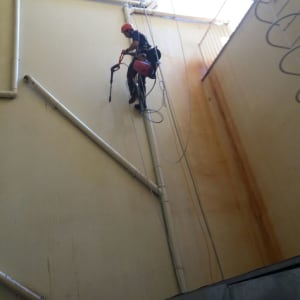 הרחקת יונים בסנפלינג