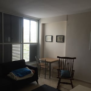 שני ציורים ממוסגרים תלויים על קיר בהיר