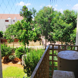 רשת נגד יונים מותקנת במרפסת עם עצים ברקע