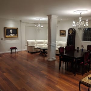 סלון עם עמוד גבס במרכז החדר