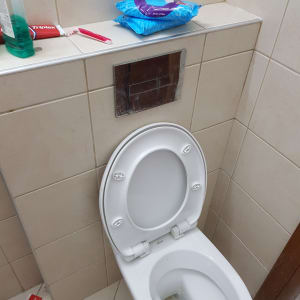 אסלה עם מכסה פתוח ומיכל הדחה על הקיר