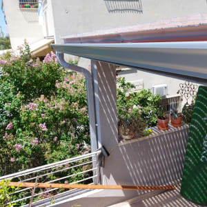 צמחים בעציצים על אדן חלון עם צללים