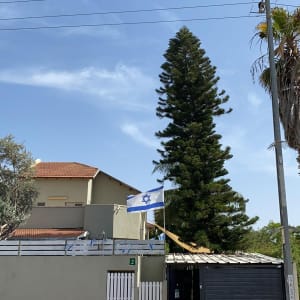 עץ גבוה ליד בית עם דגל ישראל