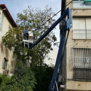 כריתת ענפים גבוהים עם מנוף