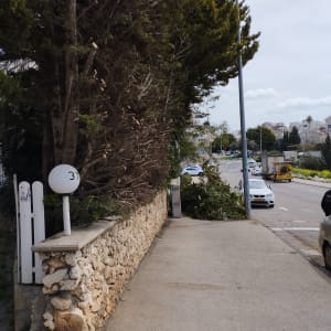 ענפים גזומים מונחים על המדרכה ליד גדר אבן