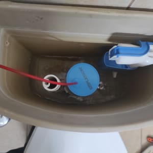 מיכל הדחה עם מנגנון פלסון וצינור אדום