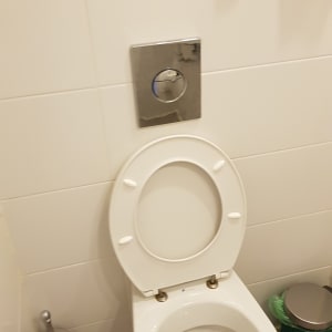 אסלה עם מברשת ניקוי ופח אשפה