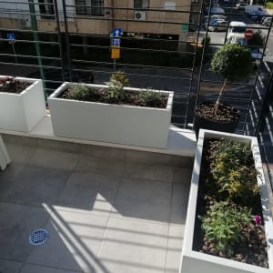 עציצים עם צמחים על מרפסת