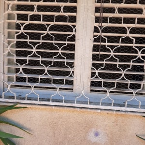 רשת לחלון ותריס מתוקן