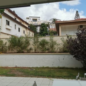 השיחים החדשים לאחר שתילה וניקוי