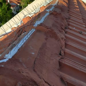 דוקרנים על גג רעפים למניעת יונים