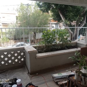 מעקה מתכת לבן במרפסת עם עציצים ירוקים