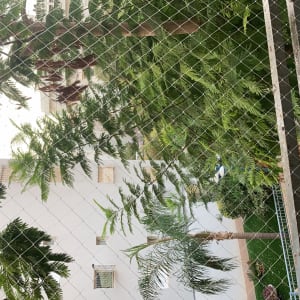 רשת מתכת על רקע עצים ירוקים