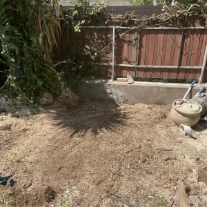 גיזום גדר חיה עם ענפים חתוכים על הקרקע