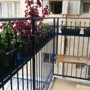 מעקה ברזל כחול עם עציצים תלויים