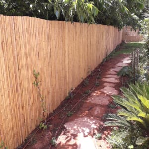 שביל אבנים בגינה עם צינורות השקיה וצמחים