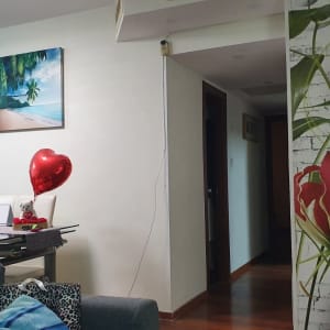 תיקון אחרי יום ראשון,המשך החלקה וישור ביום השני